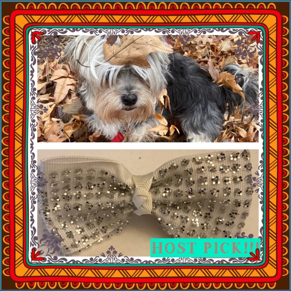 🐶HOST PICK🐾Gentleman's Glitter Bow Tie Collar